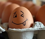 Астраханские яйца безосновательно оклеветали