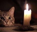 Конец света: в Астрахани произошло массовое отключение электричества