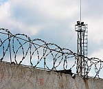 Житель Калининградской области получил срок в колонии строгого режима за развод астраханцев