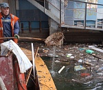 Из астраханских каналов после зимы достали матрасы, лестницу и полдивана