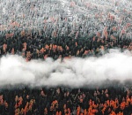 Завтра в Астраханской области температура успеет показать и жуткий мороз, и легкое тепло