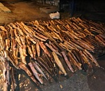 В Астрахани задержали дагестанца с почти тонной осетров