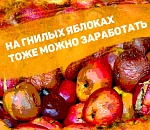 Сотрудница одного из сетевых магазинов Астрахани заработала на некачественном товаре почти миллион рублей