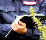 В Астрахани будут судить трех бывших полицейских за «улучшение» показателей работы