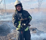В Астрахани пожарные спасли щенка, у которого начала уже обугливаться шерсть, и назвали его Угольком 