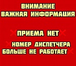 Астраханский приют "Верный друг" больше не принимает животных