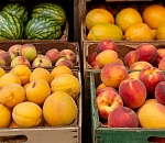 Более 80 тонн сладких плодов не пустили в Астраханскую область из Казахстана