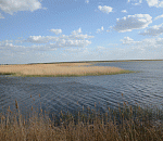 Реки Астраханской области тянут на дно, ищут еще одно тело