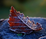 Температура в Астраханской области упадет до ноля