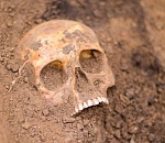 В двух районах Астраханской области нашли человеческие останки