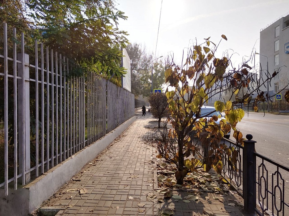 Завтра в Астрахани еще на градус холоднее