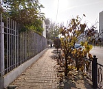 Завтра в Астрахани еще на градус холоднее