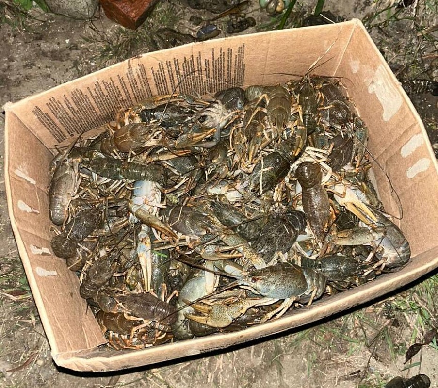 Астраханские полицейские спасли от смерти полтонны раков