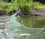 В Астрахани рыболовные сети пропадут из свободной продажи