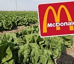 "Макдональдс" предоставил грант астраханским фермерам