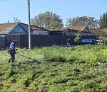 В Астрахани с начала года выкосили почти 128 гектаров сорной травы