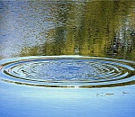 В выходные в Астраханской области утонули ребенок и мужчина