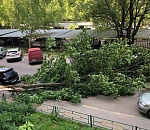 В Москве зверствует ураган. Есть пострадавшие