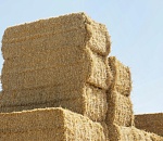 Астраханца насмерть придавило рулоном сена