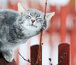 В воскресенье в Астрахани потеплеет