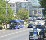 В Астрахани на выделенных полосах опиливают деревья, чтобы не мешали автобусам