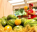 В Астрахани вновь пройдет субботняя  фермерская ярмарка