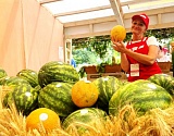 В Астрахани вновь пройдет субботняя  фермерская ярмарка