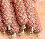 Колбаса за голоса или как подкупали избирателей в Астрахани