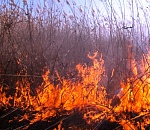 Опять горит на раскатах: удушливый запах тростниковой гари накроет Астрахань и пять районов