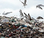 НЕ СОРИТЬ И НЕ ГАДИТЬ. Астраханская облдума приняла анти-мусорный закон