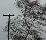 Метеорологи прогнозируют сильный ветер в Астраханской области