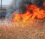 На севере Астраханской области сохраняется чрезвычайная пожароопасность 