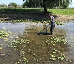 Игорь Бабушкин: прогноз по паводку на 2020 год не лучше, чем в 2019 году