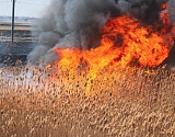На севере Астраханской области сохраняется чрезвычайная пожароопасность 