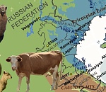 Астраханский маршрут войдет в международный проект под эгидой ООН