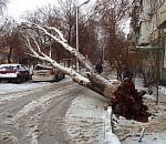 Разрушенные ураганом электросети в Астраханской области полностью восстановлены