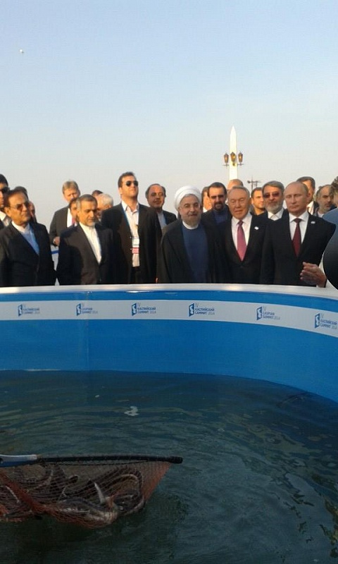 Президенты стран Прикаспия во время саммита в Астрахани выпустили в Волгу молодь белуги