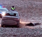 На астраханской трассе разбился насмерть житель Калмыкии