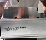 Глава астраханского НПО потерял в Сети почти 4 млн рублей