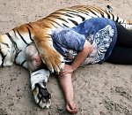 Почти половина опрошенных астраханцев не определилась, каким был уходящий год Тигра