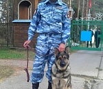 В Астраханской области собака нашла двух пропавших школьников