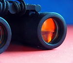 Путин ограничил количество наблюдателей на выборах 