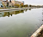 Со дна астраханских водных каналов достали старых покрышек на целый автопарк