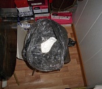 Наркоконтроль задержал дилера, доставившего полтора килограмма героина из Питера в Астрахань