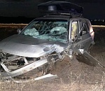 На автодороге Волгоград – Астрахань в ДТП двух иномарок погибли оба водителя. Есть и два пострадавших