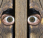 Чем жили. Летом в Астрахани случалось падение нравов