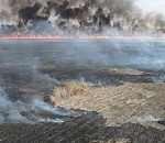 Астраханский биосферный заповедник оказался в кольце из огня