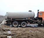 В Приволжском районе из-за ассенизатора пострадали дикие животные 