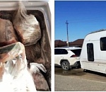 Под Астраханью задержали ставропольца, везшего в трейлере части осетровых рыб