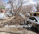 В Астрахани из-за ветра падают большие сухие ветки: будьте осторожны